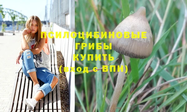 скорость mdpv Бородино
